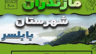 <strong>ارزش اجاری املاک مازندران عملکرد سال 1398 املاک آمل</strong> 4 ارزش اجاری املاک مازندران عملکرد سال 1398 املاک آمل